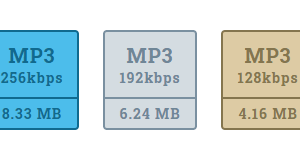API Youtube to MP3 Converter (10 Licenses)